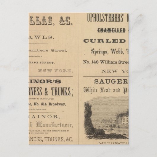 Carte Postale Willouchby H Reed and Company (Devant)