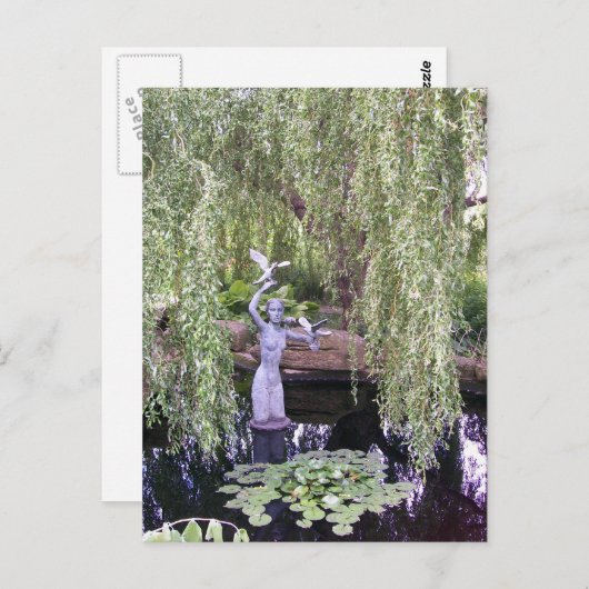 Carte Postale Willow (Devant / Derrière)