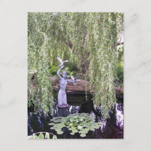 Carte Postale Willow