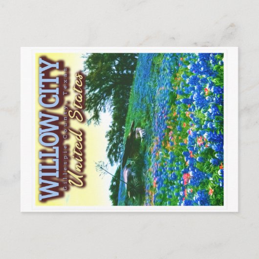 CARTE POSTALE WILLOW CITY TEXAS - WILLOW CITY LOOP - BLUEBONNET (Devant)