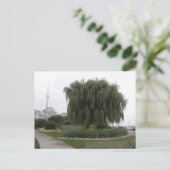Carte Postale Willow de Weeping Toronto (Debout devant)