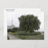 Carte Postale Willow de Weeping Toronto (Devant / Derrière)
