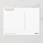 Carte Postale Willow de Weeping Toronto (Dos)