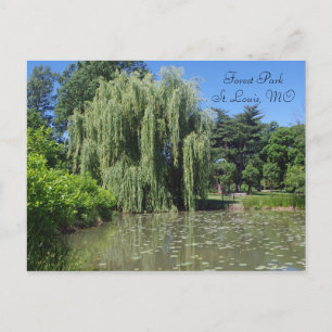 Carte Postale Willow Weeping Forest Park sur Pond