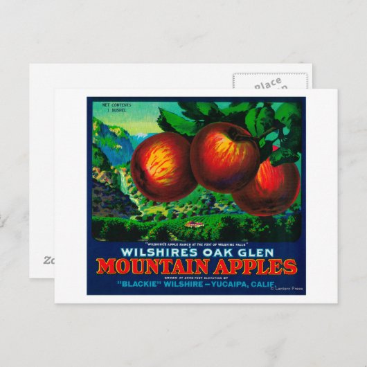 Carte Postale Wilshire's Oak Glen Apple Crate Étiquette (Devant / Derrière)