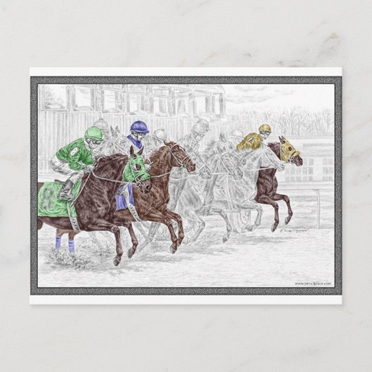 Carte Postale Win Place Show Race Hors (Devant)