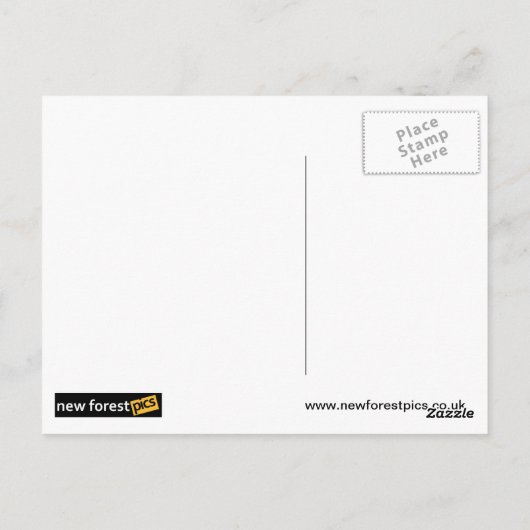 Carte postale Winchester (Dos)