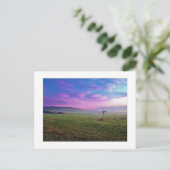 Carte Postale " Winchester Windmill " (Debout devant)