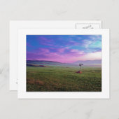 Carte Postale " Winchester Windmill " (Devant / Derrière)