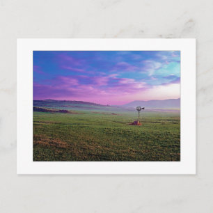 Carte Postale " Winchester Windmill "