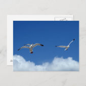 Carte postale Wind Masters (Devant / Derrière)