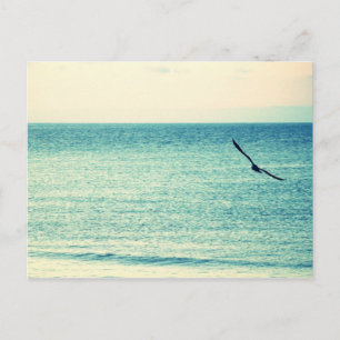 Carte postale Wind Masters