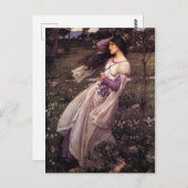 Carte Postale Windflowers par John William Waterhouse, 1902 (Devant / Derrière)