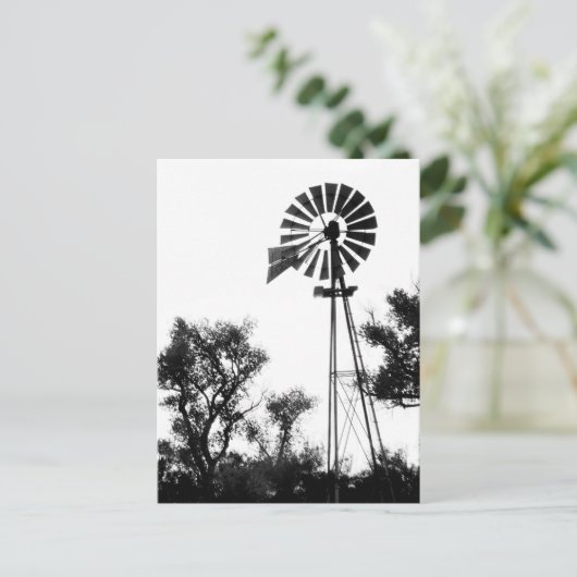 Carte Postale Windmill (Debout devant)