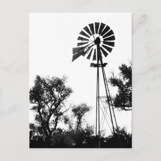 Carte Postale Windmill (Devant)