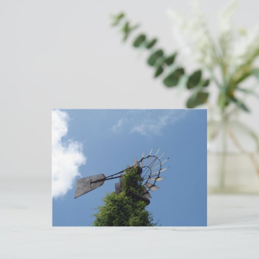 Carte Postale Windmill (Debout devant)
