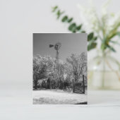 Carte Postale Windmill (Debout devant)