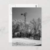 Carte Postale Windmill (Devant / Derrière)