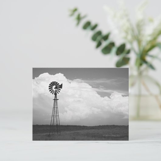 Carte Postale Windmill (Debout devant)