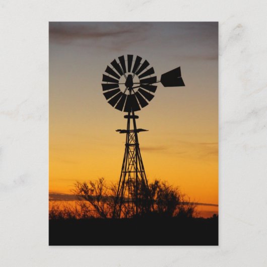 Carte Postale Windmill (Devant)