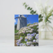 Carte Postale Windmill et Hydrangeas Cape Cod (Debout devant)