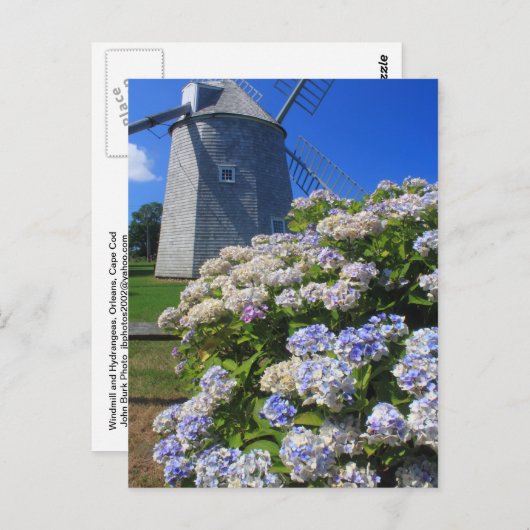 Carte Postale Windmill et Hydrangeas Cape Cod (Devant / Derrière)