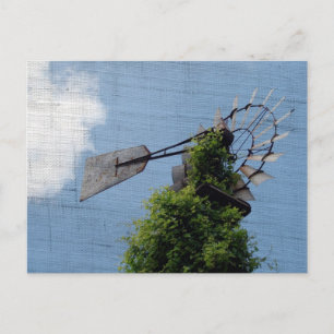 Carte Postale Windmill Exclusive