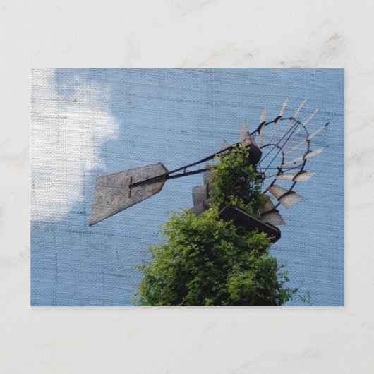 Carte Postale Windmill Exclusive (Devant)