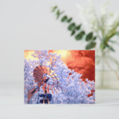 Carte Postale Windmill infrarouge (Debout devant)