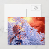 Carte Postale Windmill infrarouge (Devant / Derrière)