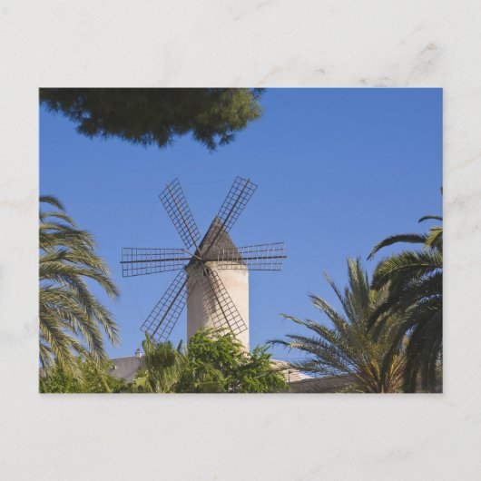Carte Postale Windmill, Palma, Majorque, Espagne (Devant)