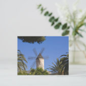 Carte Postale Windmill, Palma, Majorque, Espagne (Debout devant)