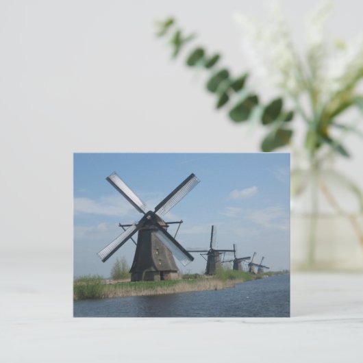 Carte Postale Windmills (Debout devant)