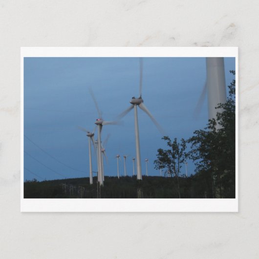 Carte Postale Windmills (Devant)