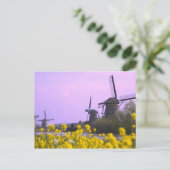 Carte Postale Windmills le long du canal de Kinderdijk, (Debout devant)