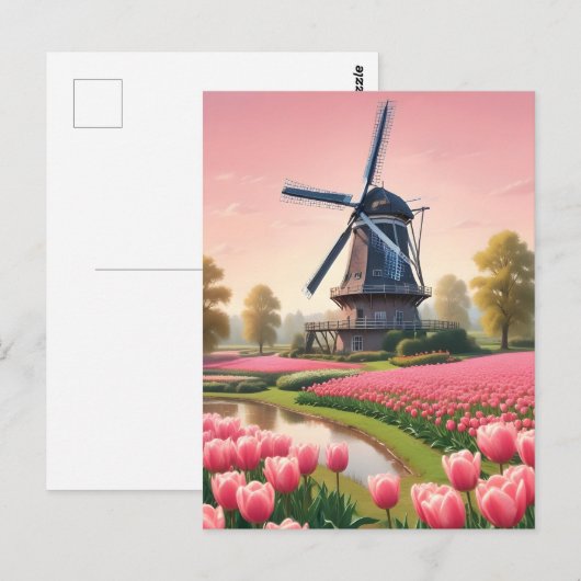 Carte Postale Windmills Pays-Bas (Devant / Derrière)