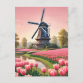 Carte Postale Windmills Pays-Bas (Devant)