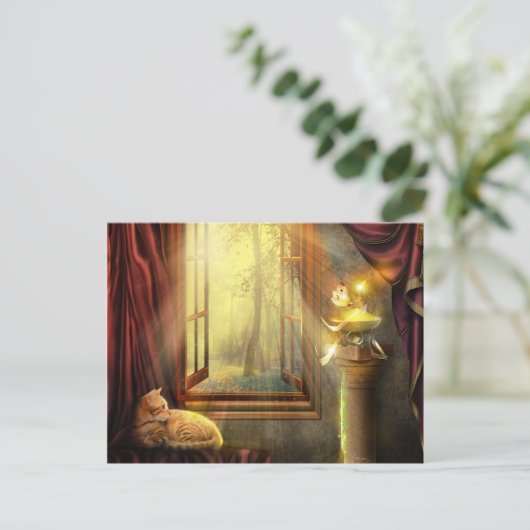 Carte postale Windows Shopping (Debout devant)