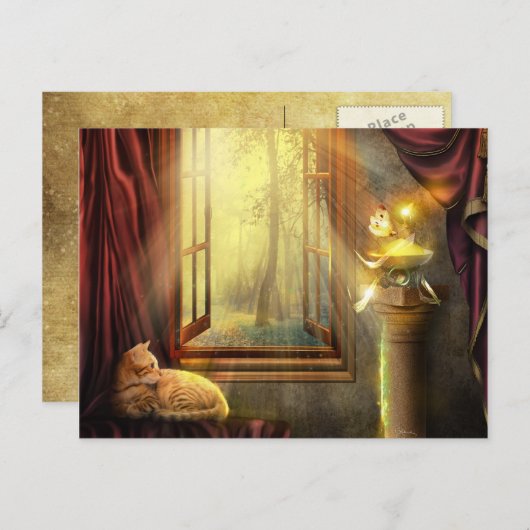 Carte postale Windows Shopping (Devant / Derrière)