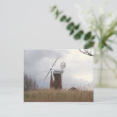 Carte Postale Windpump chevalin Norfolk (Debout devant)