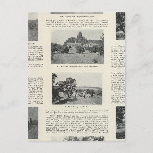 Carte Postale Windsor, Californie (Devant)