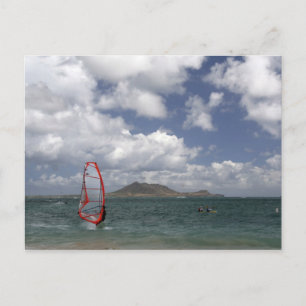 Carte Postale Windsurf à Hawaii