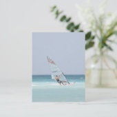 Carte postale Windsurfing (Debout devant)