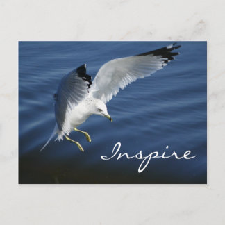 Carte postale Wings Over Pennsylvania