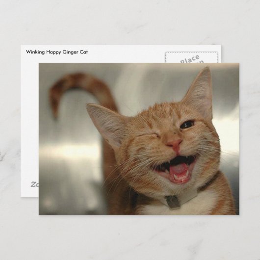 Carte Postale Winking Happy Ginger Cat (Devant / Derrière)