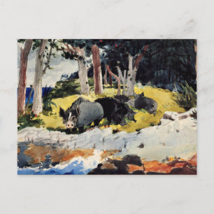 Carte Postale Winslow Homer - Bermudes Colons