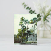 Carte Postale Winslow Homer - Homosassa River (Debout devant)