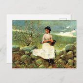 Carte Postale Winslow Homer - Peach Blossoms (Devant / Derrière)
