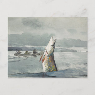 Carte Postale Winslow Homer - Pike, Lac St. John