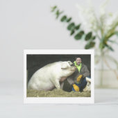 Carte Postale Winston le cochon (Debout devant)